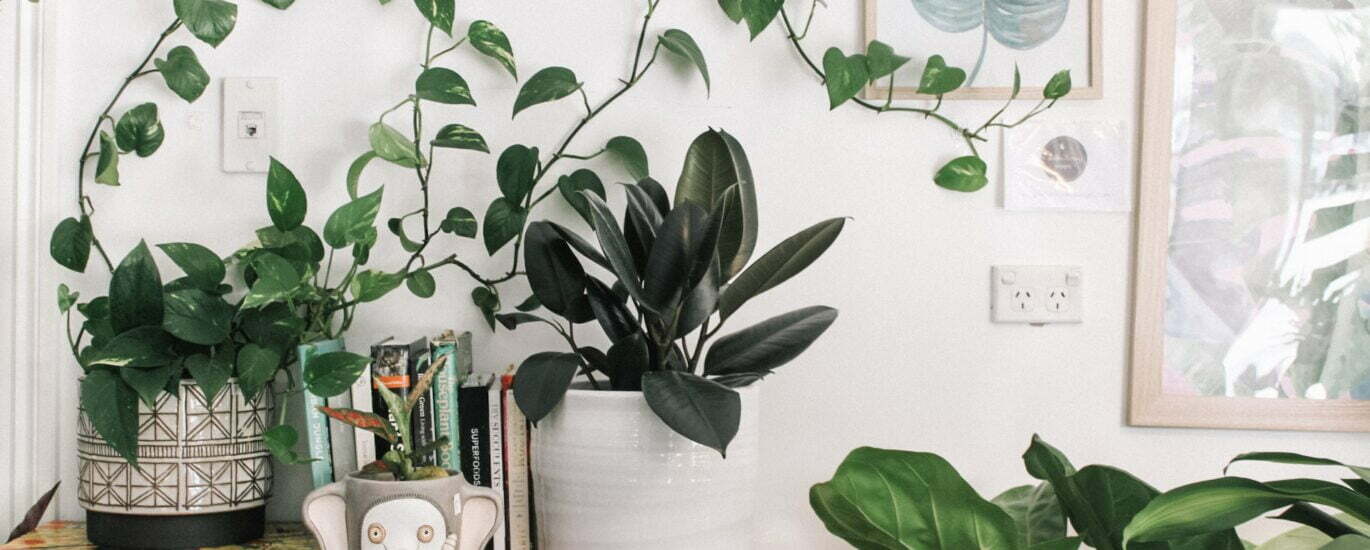 7-reasons-why-you-should-improve-your-indoor-air-quality-2